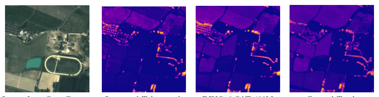 Fig.19：Open-Canopy 上 DINOv3 7B 卫星模型与 Tolan et al. (2024) 的冠层高度对比