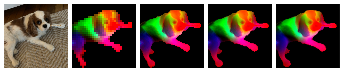 Fig.4：同一张图在不同输入分辨率下的 PCA→RGB 特征图
